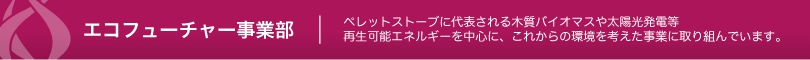 ecojigyo